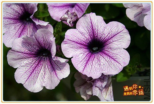 ��Ƭ 020_����.jpg