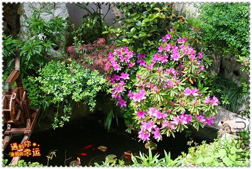 ��Ƭ 023_����.jpg