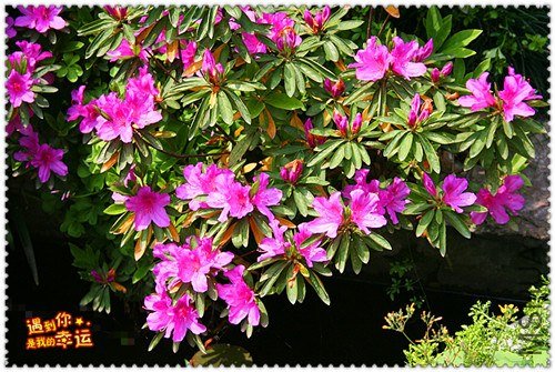 ��Ƭ 024_����.jpg