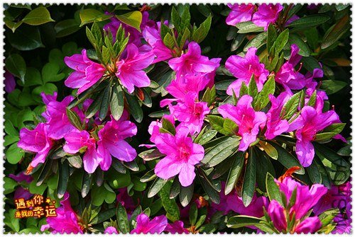 ��Ƭ 026_����.jpg