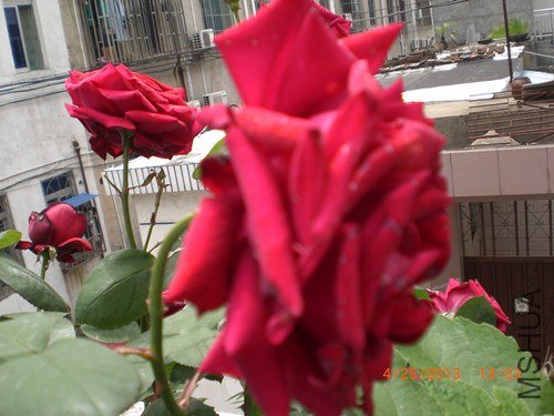 CIMG2848_����.jpg