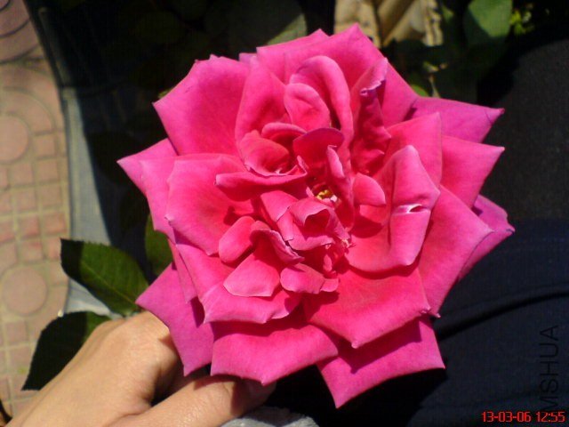 DSC00043(01).jpg