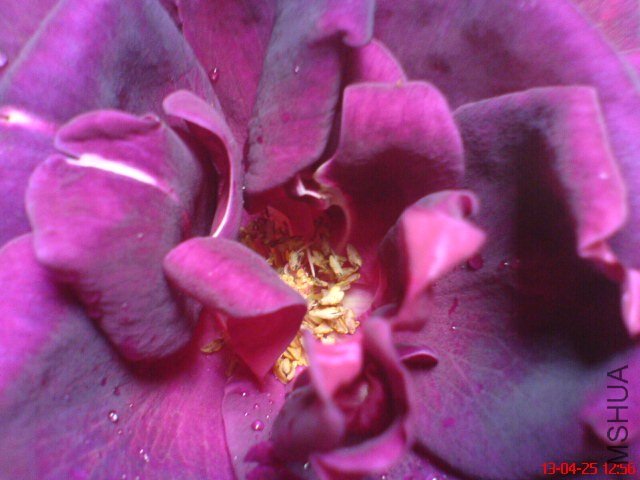 DSC00179.jpg