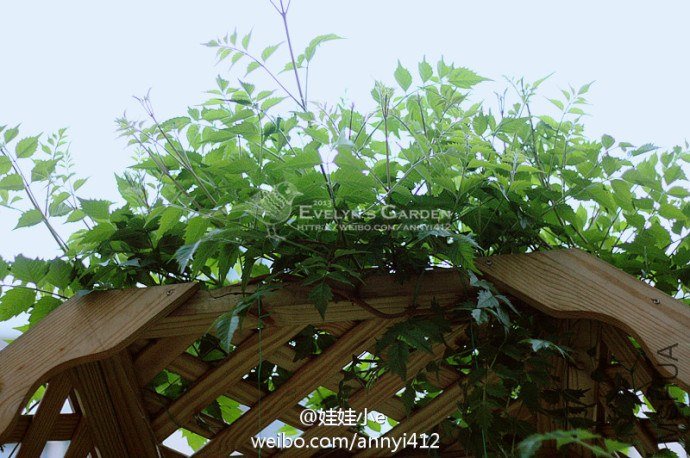 62490b8cgw1e422clrxn6j20m80es79e.jpg