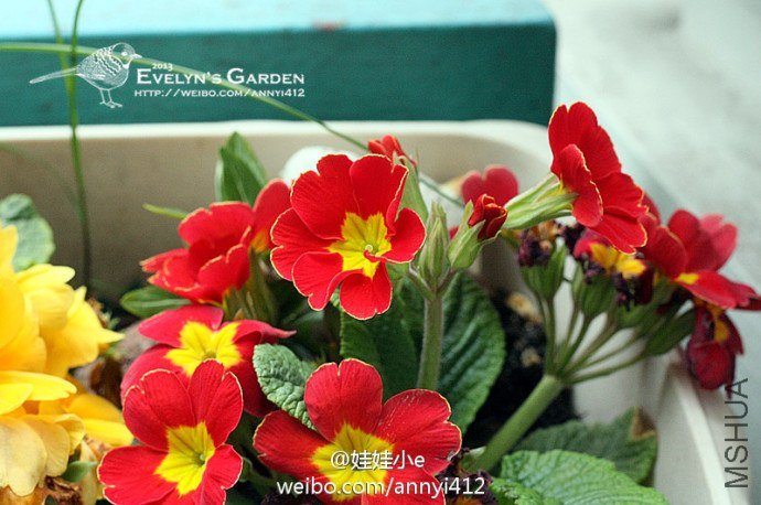 62490b8cgw1e3do9t3jumj.jpg