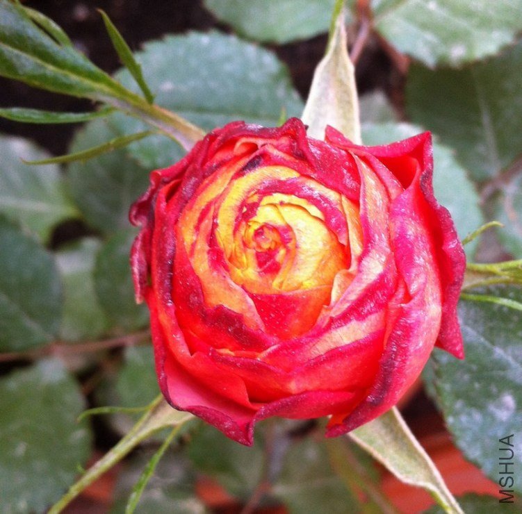 ��Ƭ 070.jpg