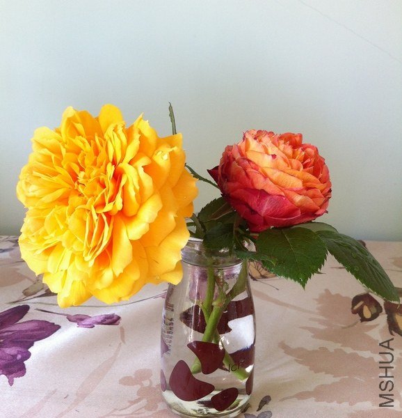 ��Ƭ 095.jpg