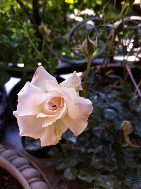��Ƭ 089.jpg