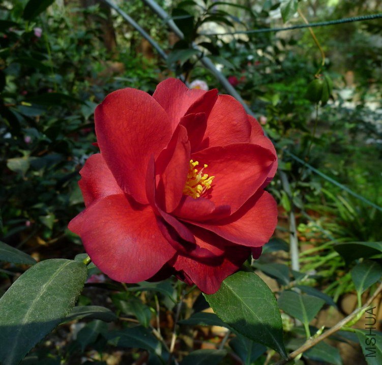 P2030059.jpg