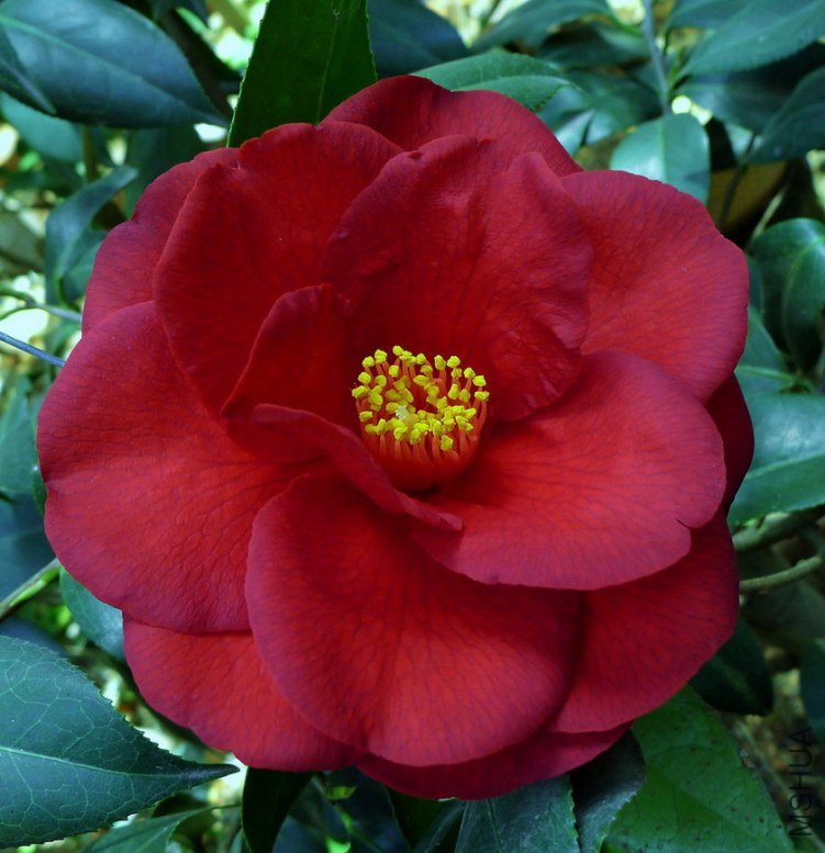 P2060422.jpg
