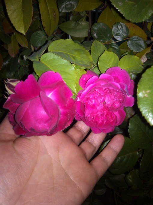 0130426133822.jpg