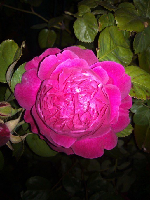 20130426133704.jpg