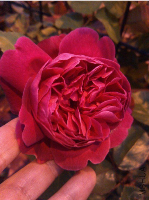 20130426133734.jpg