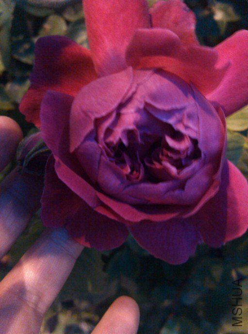 20130426133745.jpg
