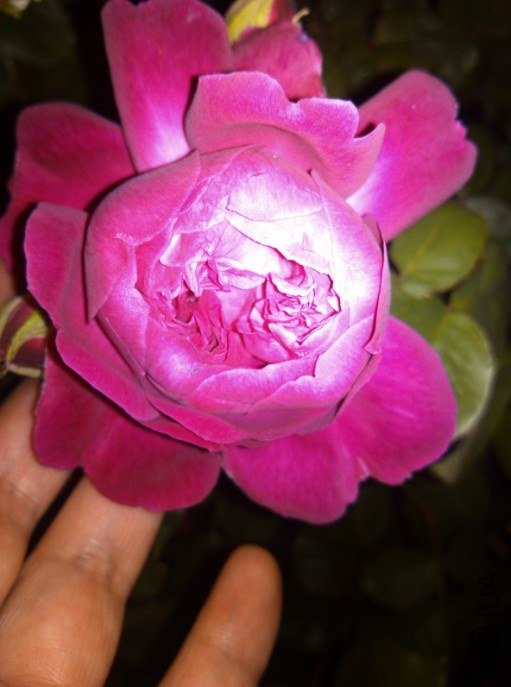 20130426133754.jpg