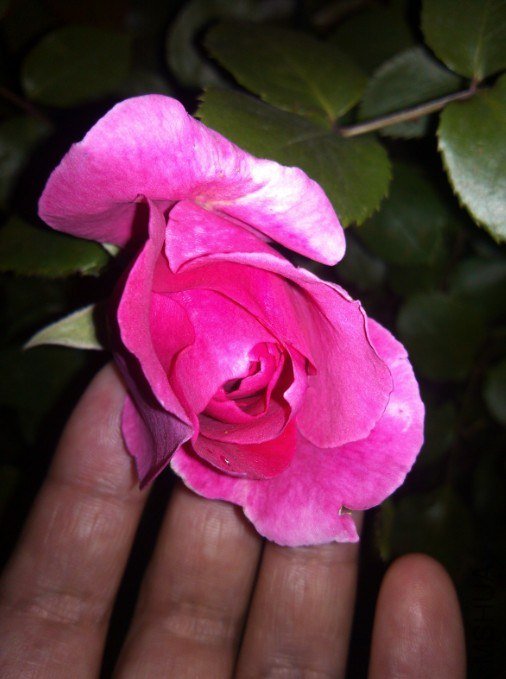 20130426133803.jpg