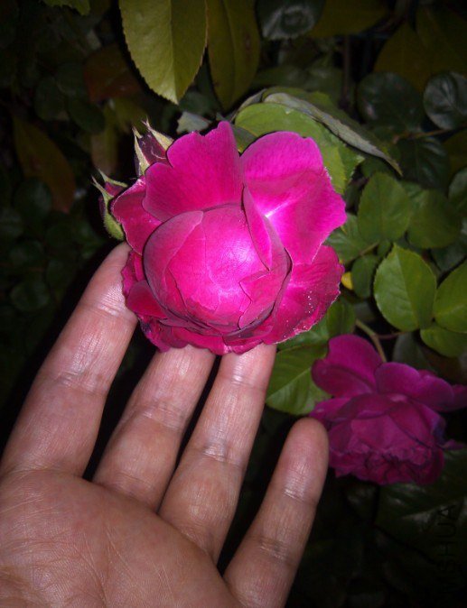 20130426133813.jpg