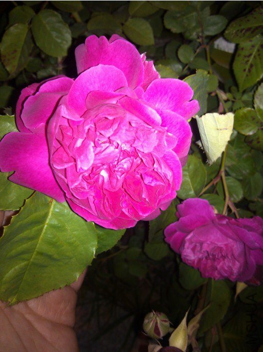 20130426133832.jpg