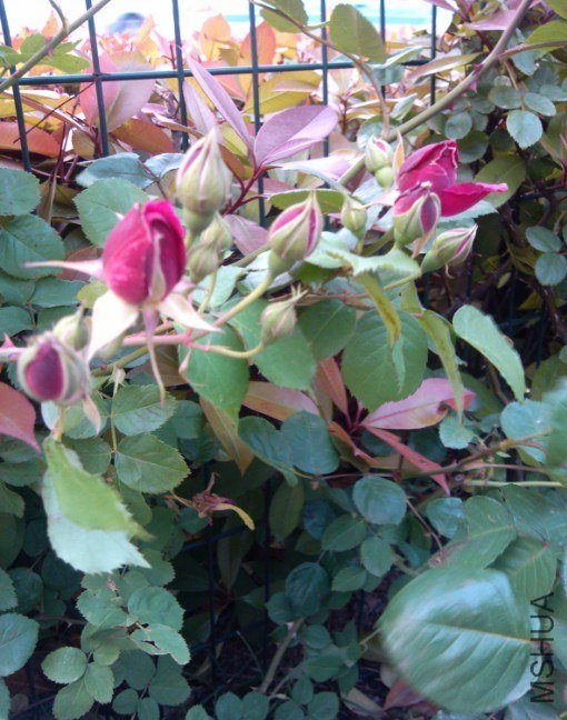 20130426133859.jpg
