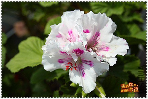 ��Ƭ 035_����.jpg