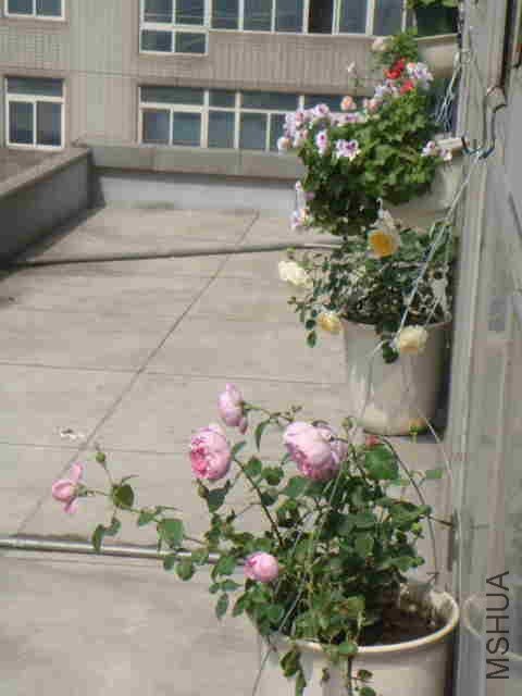 DSC06248_����.jpg