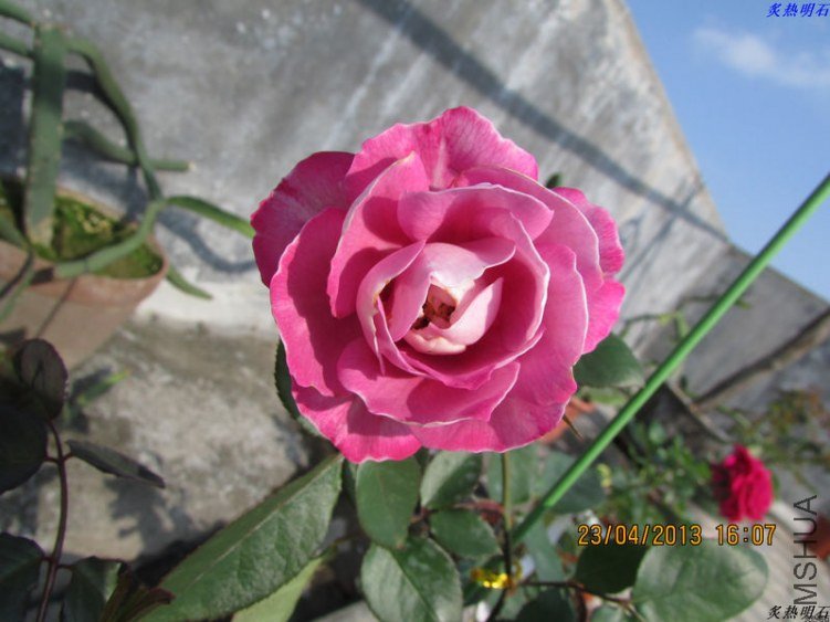IMG_5359_nEO_IMG.jpg