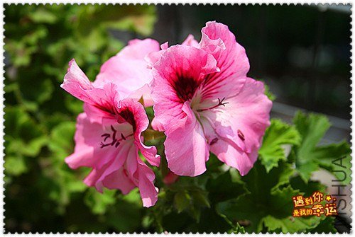 ��Ƭ 039_����.jpg