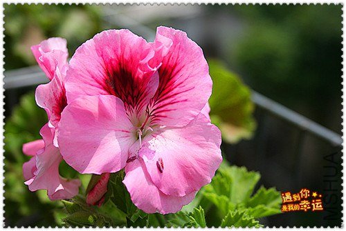 ��Ƭ 040_����.jpg