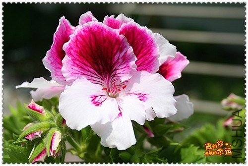 ��Ƭ 044_����.jpg