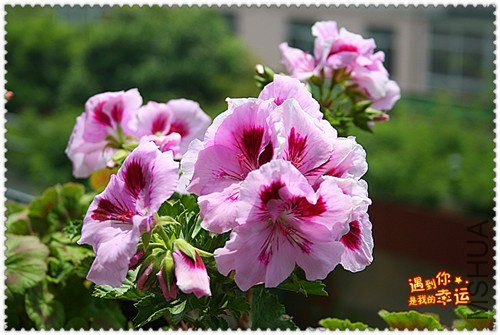 ��Ƭ 047_����.jpg