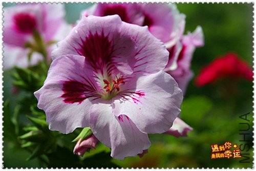 ��Ƭ 049_����.jpg