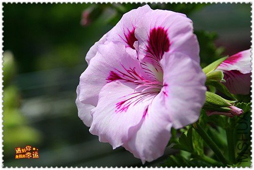 ��Ƭ 050_����.jpg