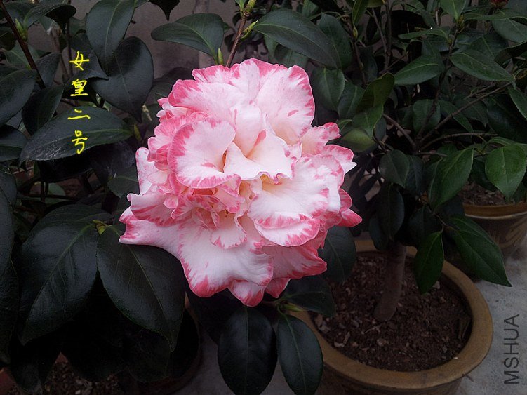 20130322_151626_����.jpg
