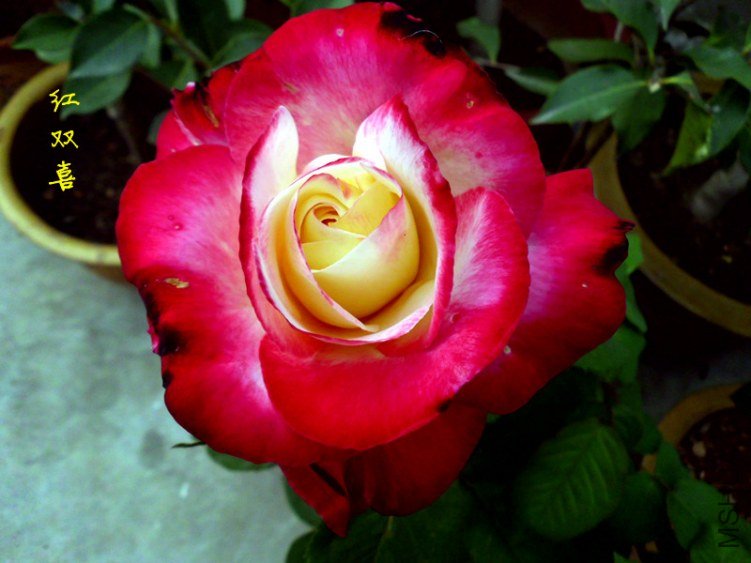 DSCI0878_����.jpg