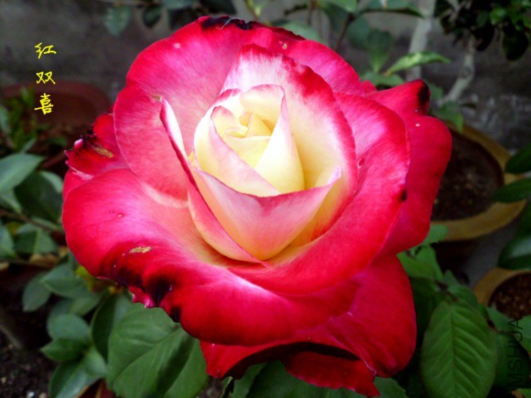 DSCI0883_����.jpg