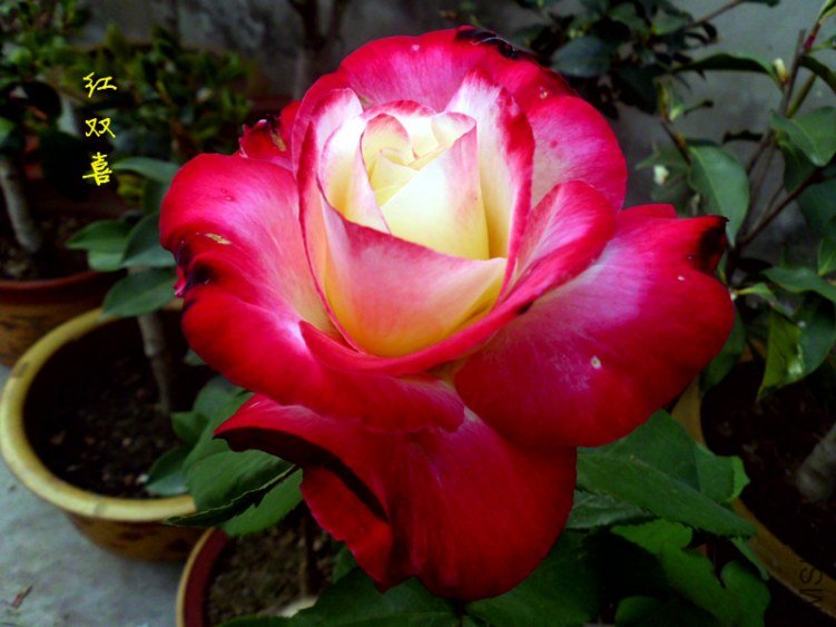 DSCI0884_����.jpg