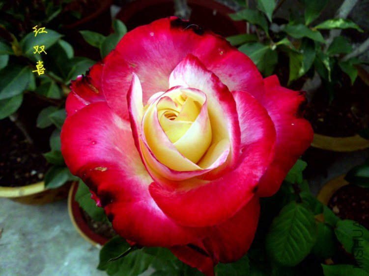 DSCI0890_����.jpg