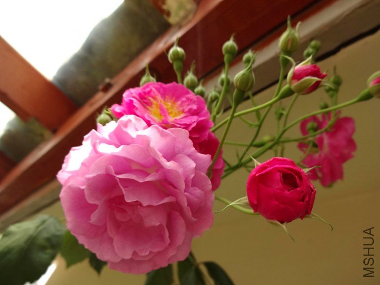 DSC01702.jpg