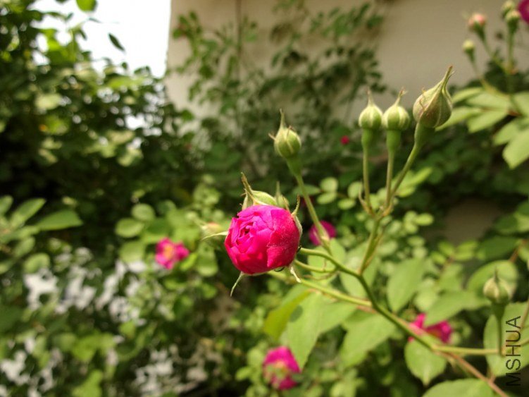 DSC01705.jpg