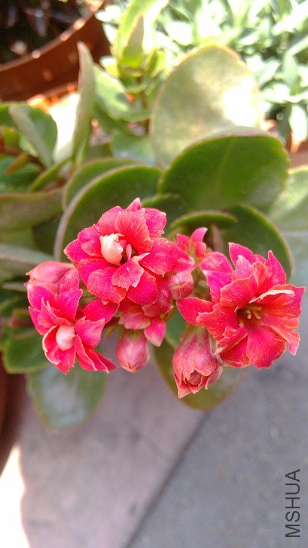 20130427_����.jpg