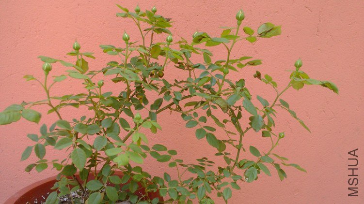 20130427_�ƽ����.jpg