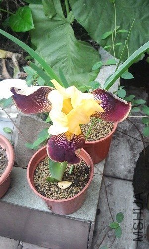 ������~~~