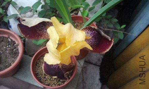 ϸ�������е���~~