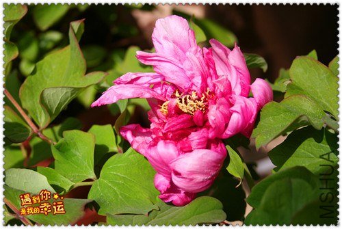 ��Ƭ 028_����.jpg