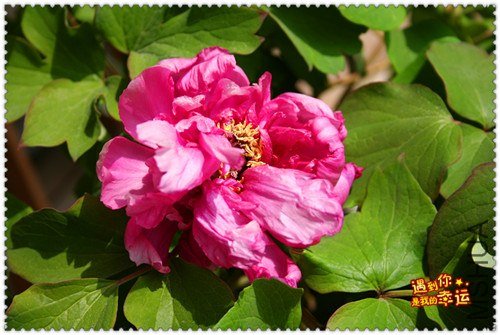 ��Ƭ 030_����.jpg