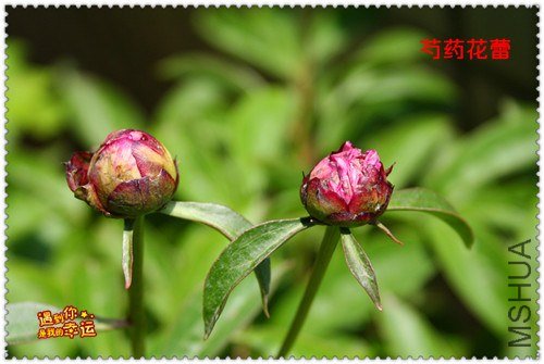 ��Ƭ 032a_����.jpg