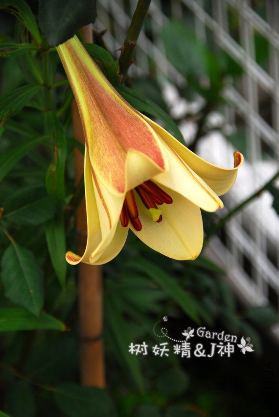 DSC_0032.JPG