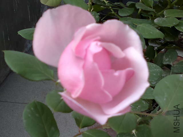 20130427443.jpg
