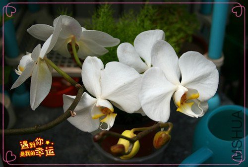 ��Ƭ 003_����.jpg