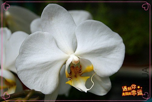 ��Ƭ 005_����.jpg